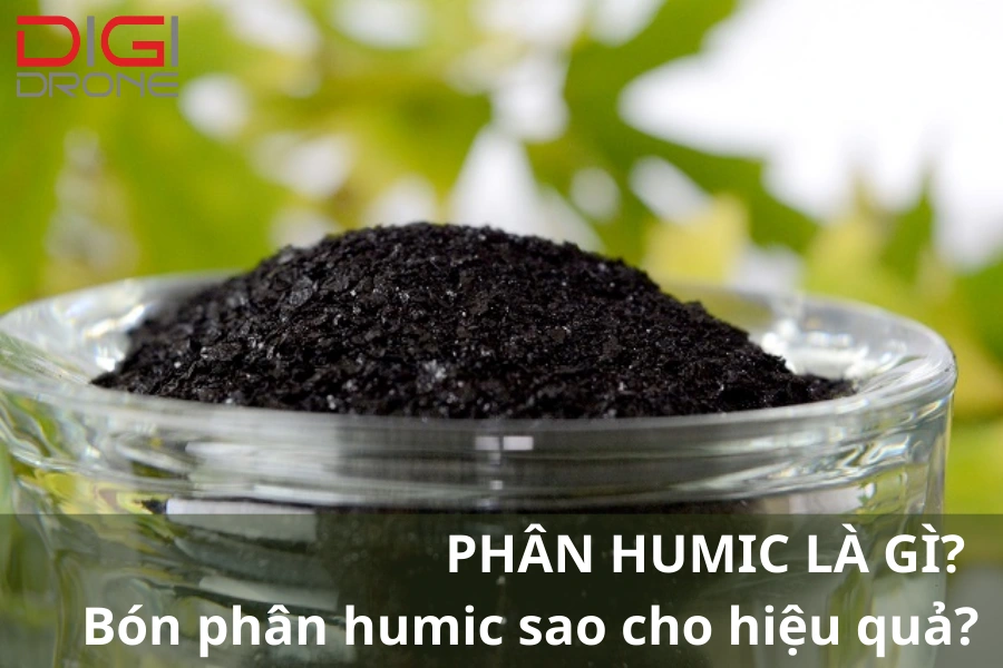 Phân Humic Là Gì? [Hướng Dẫn] Bón Phân Humic Hiệu Quả