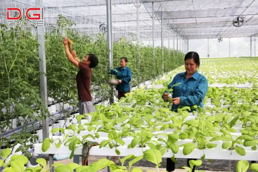 ứng dụng công nghệ cao trong sản xuất nông nghiệp