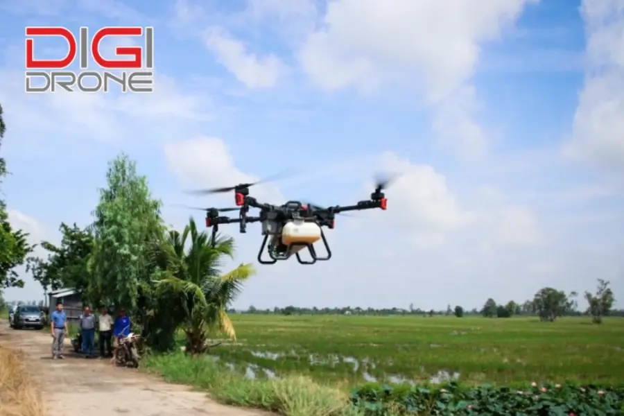 Những lợi ích khi bón phân khoai môn bằng XAG P100