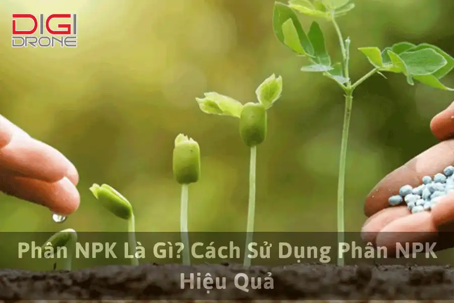 Phân NPK Là Gì? Cách Sử Dụng Phân NPK Hiệu Quả