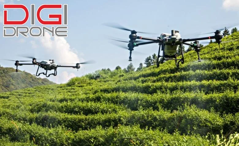 học lái máy bay phun thuốc