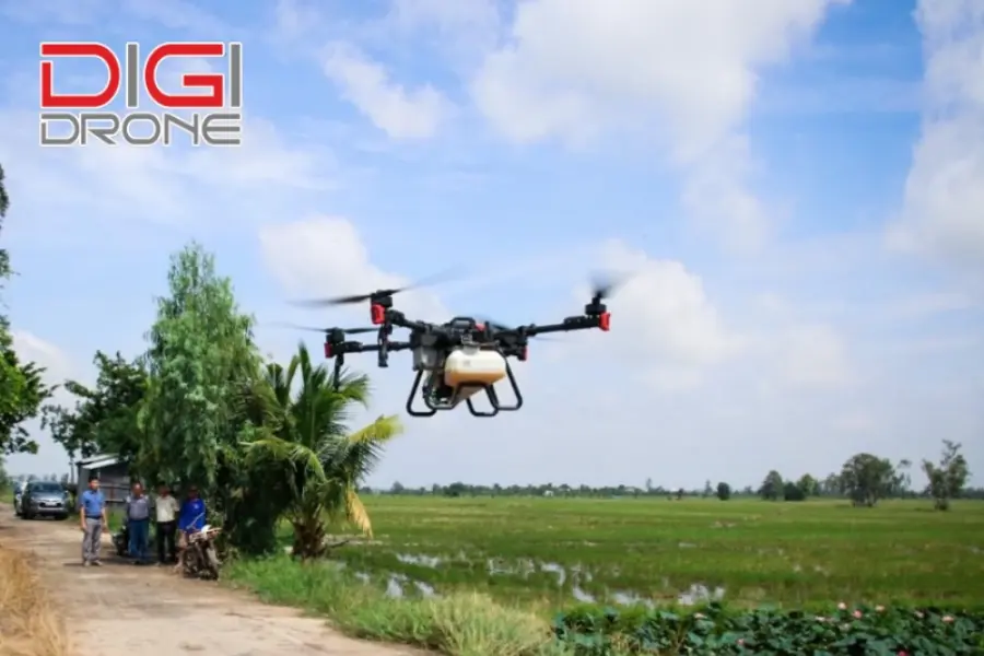 Công nghệ cao mang lại những lợi ích gì cho ngành nông nghiệp?