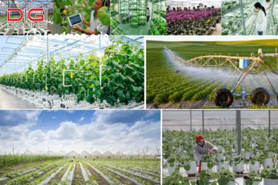 ứng dụng nông nghiệp công nghệ cao trong chăn nuôi