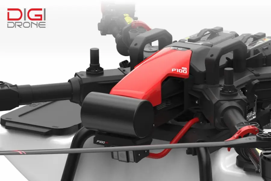 ứng dụng xag p100 bón phân cho khoai sọ