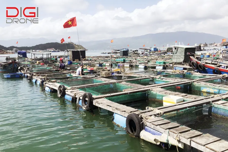 ứng dụng nông nghiệp công nghệ cao trong nuôi trồng thuỷ sản