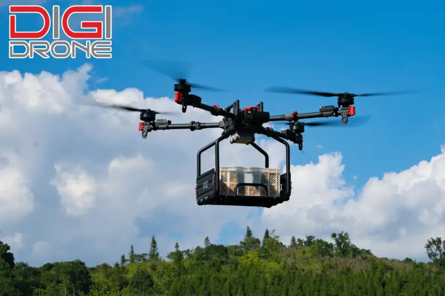 So sánh bón phân khoai sọ bằng XAG P100 và phương pháp truyền thống