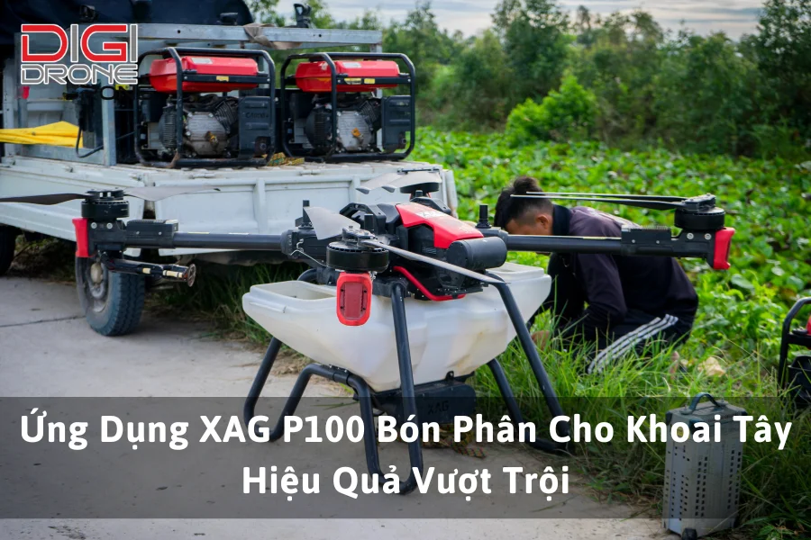 Ứng Dụng XAG P100 Bón Phân Cho Khoai Tây Hiệu Quả Vượt Trội