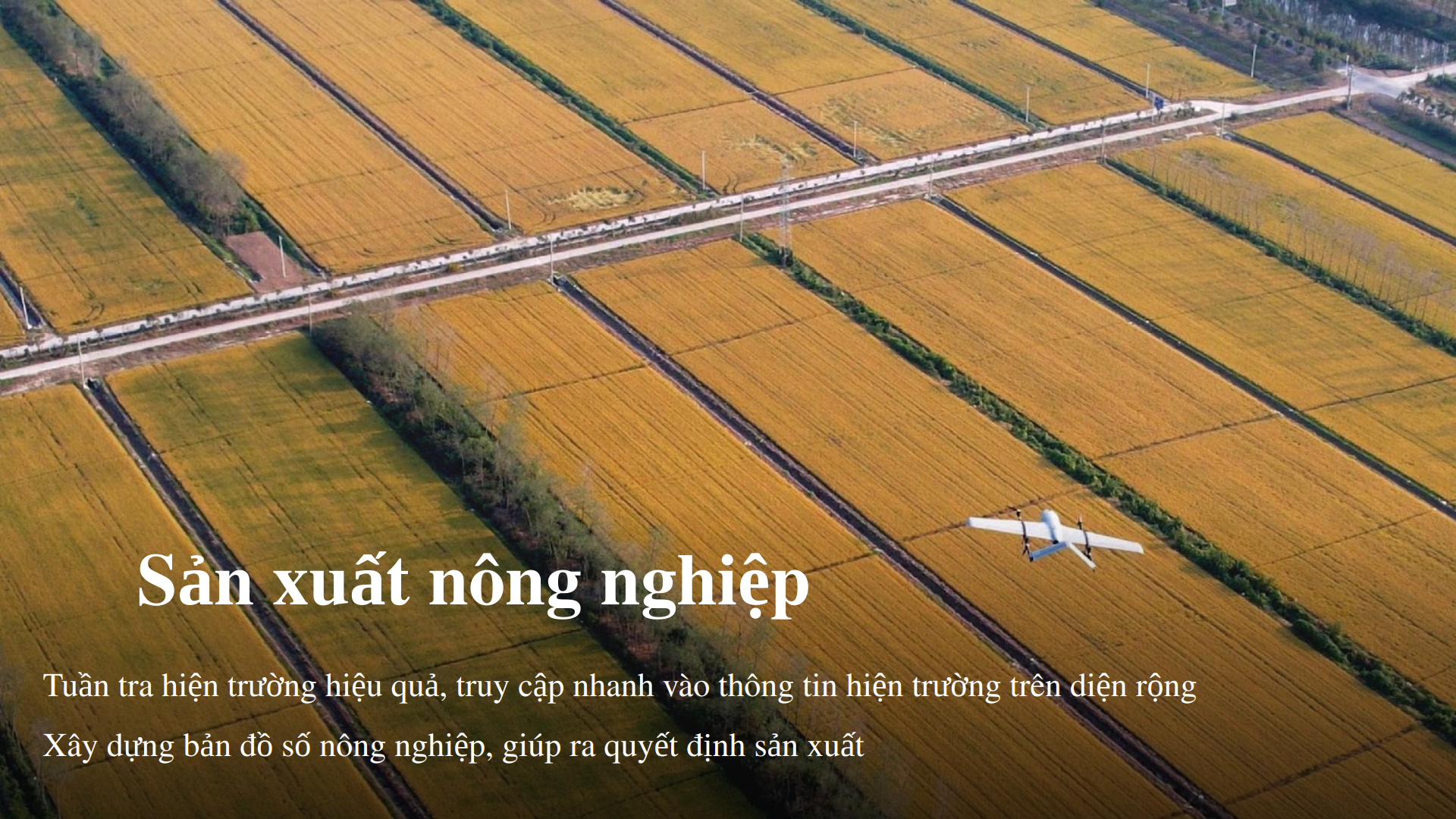 digidrone