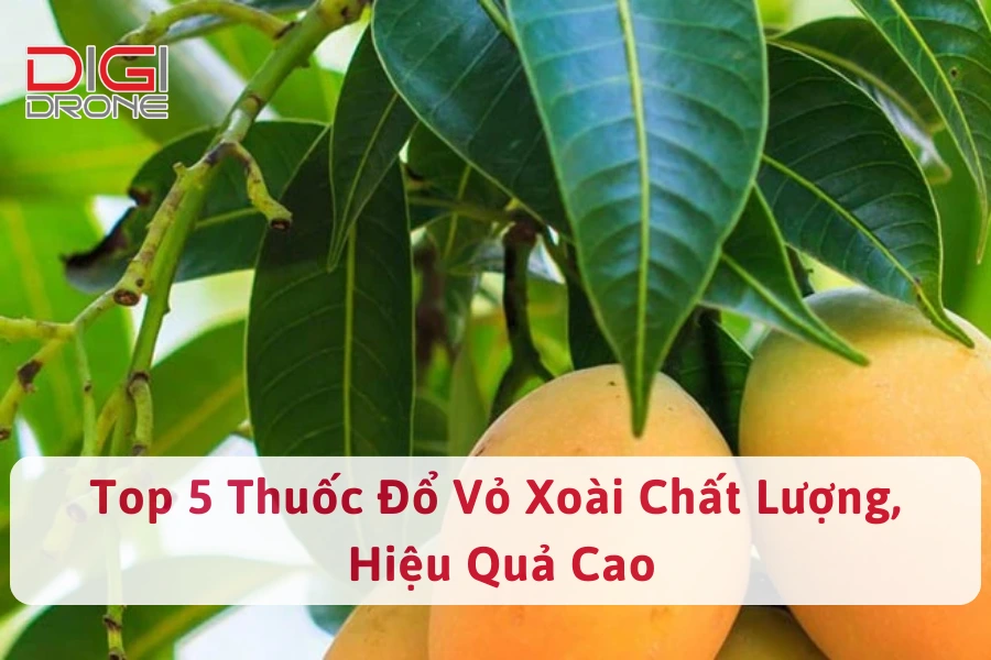 Top 5 Thuốc Đổ Gốc Xoài Chất Lượng, Hiệu Quả Cao