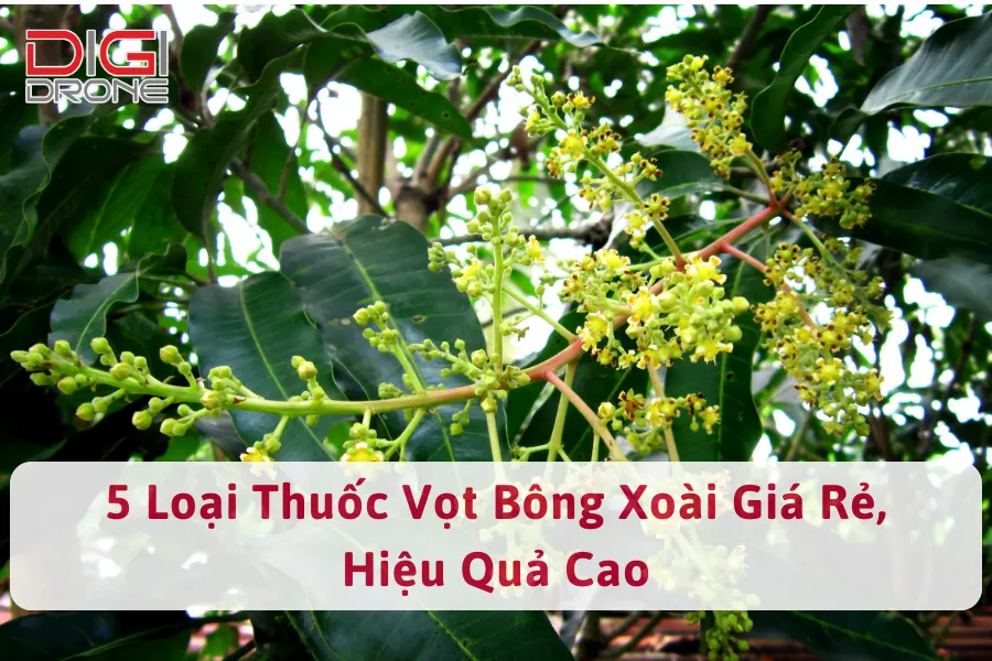 5 Loại Thuốc Vọt Bông Xoài Giá Rẻ, Hiệu Quả Cao