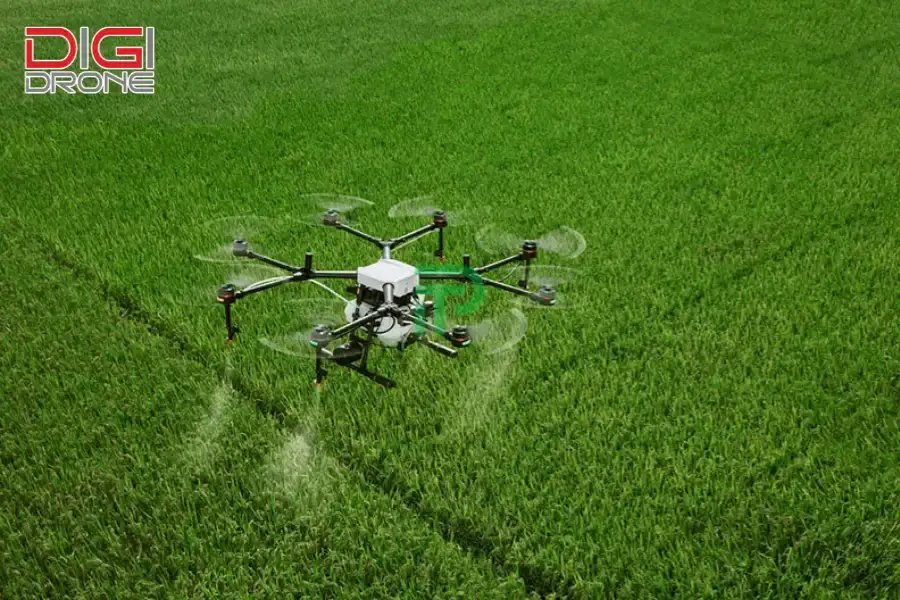ứng dụng công nghệ cao trong sản xuất nông nghiệp