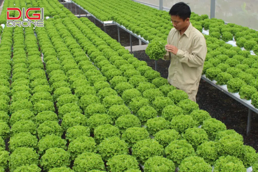 Triển vọng và xu hướng phát triển công nghệ nông nghiệp