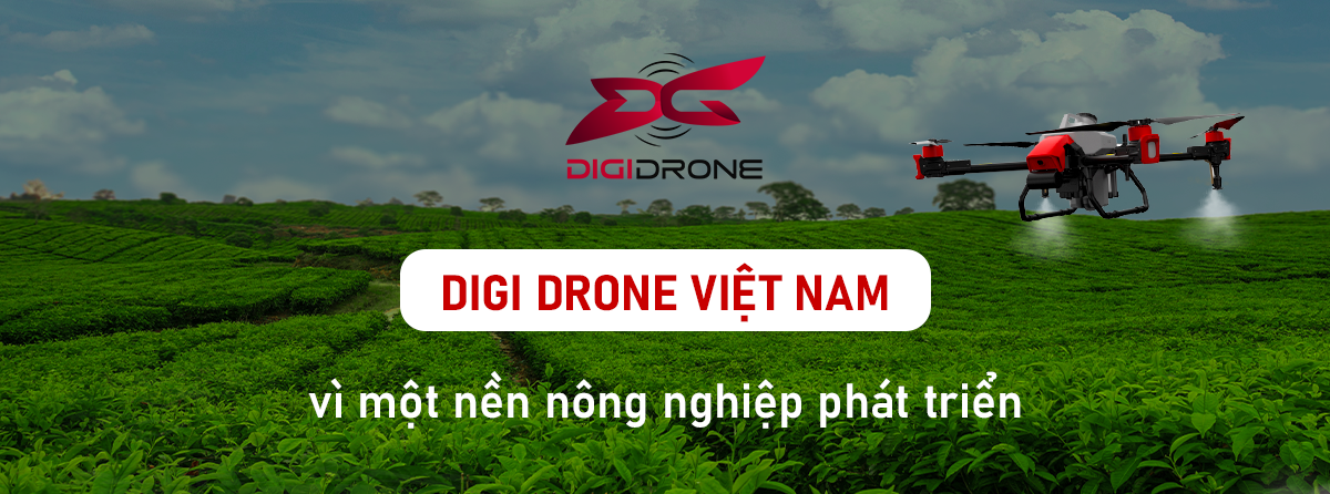 digidrone